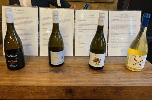 La cantina Ceste, con l’obiettivo della sostenibilità, lancia i vini Piwi in Piemonte