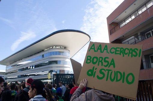 Lions Cooking Contest 2019