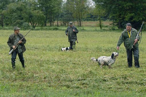 Conticelli e Barazzotto (Pd): &quot;Incendi, stop alla caccia anche oltre il termine del 5 novembre&quot;