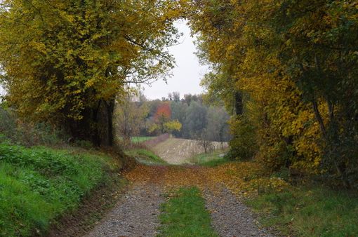 Campo Volo, Legambiente si mobilita per proteggere le ultime aree agricole alle porte di Torino