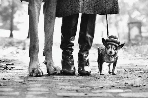 Elliott Erwitt arriva alla Palazzina di Caccia di Stupinigi