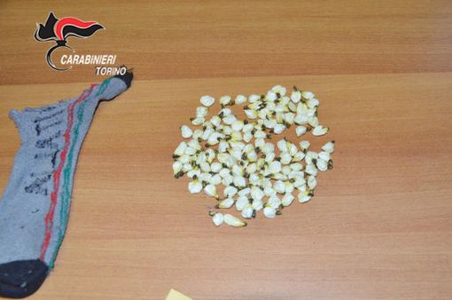 Al Valentino il &quot;deposito di cocaina&quot; era un calzino nascosto in una buca: tre arresti [FOTO e VIDEO]