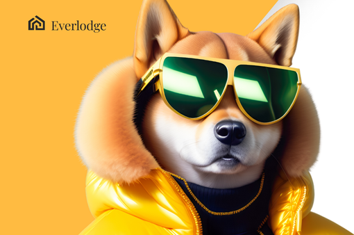 Previsione del prezzo di Google Bard: dove vanno Shiba Inu, Everlodge e Dogecoin? Previsione del prezzo di Google Bard: dove vanno Shiba Inu, Everlodge e Dogecoin?