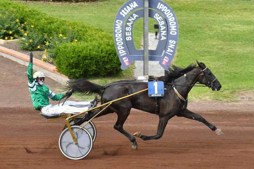 Blackflash Bar in un'immagine di repertorio