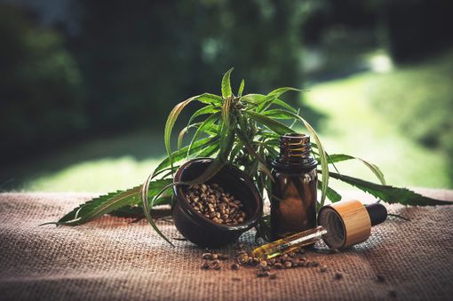 Il CBD, una sostanza non psicoattiva che si trova nella cannabis, può aiutare ad alleviare i sintomi del Covid-19 Il CBD, una sostanza non psicoattiva che si trova nella cannabis, può aiutare ad alleviare i sintomi del Covid-19
