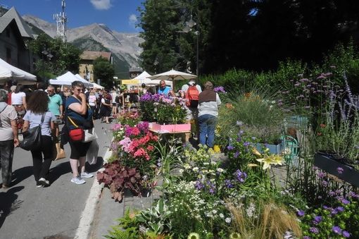 Flor in versione estiva a Bardonecchia