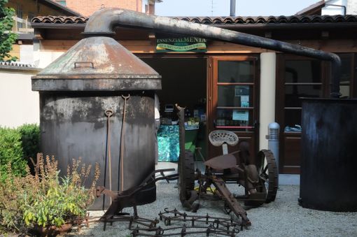 Da Villareggia a Pancalieri, primo fine settimana di marzo con i prodotti tipici della Città metropolitana di Torino Da Villareggia a Pancalieri, primo fine settimana di marzo con i prodotti tipici della Città metropolitana di Torino