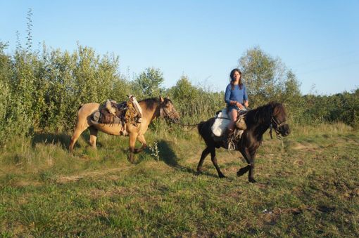 Il talento al femminile sale sul palco del Mirafiori motor village con TEDWoman Il talento al femminile sale sul palco del Mirafiori motor village con TEDWoman