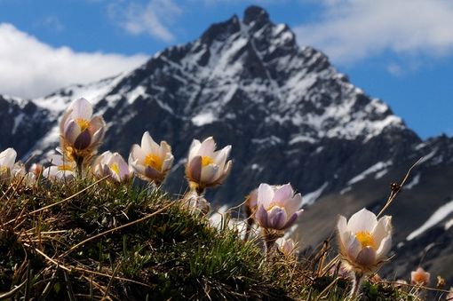 Bardonecchia si prepara per la Pasqua e la festa della Liberazione