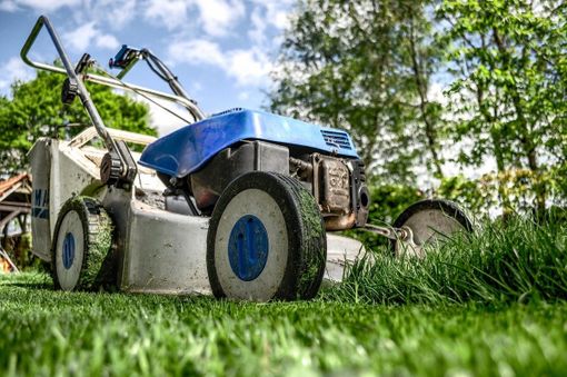 Gli attrezzi di Ferramenta Giusti must have per il giardinaggio