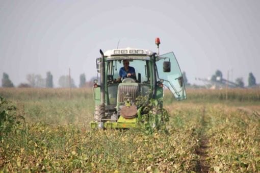 mezzo agricolo in azione