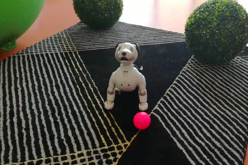 A Torino c'è AIBO, il cane robot che impara giorno dopo giorno (VIDEO)