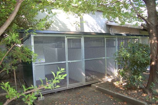 Le gabbie in via Ravenna