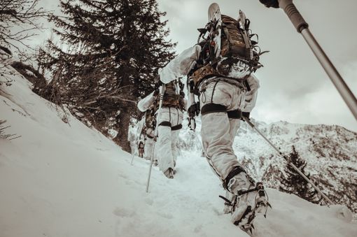 Esercito: al via in Piemonte l'esercitazione 'Volpe Bianca' Esercito: al via in Piemonte l'esercitazione 'Volpe Bianca'