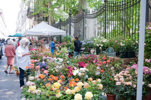 Flor, la mostra mercato che trasformerà il centro di Torino in un grande giardino