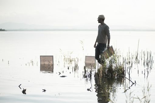 Wild Mazzini si prepara ad accogliere le Naturografie di Roberto Ghezzi