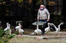 Regione Piemonte: 100mila euro per le attività dei Centri di recupero della fauna selvatica