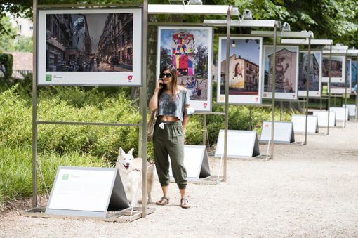 La street art trova casa ai Musei Reali: in mostra il work in progress per l'Agenda 2030 [FOTO]