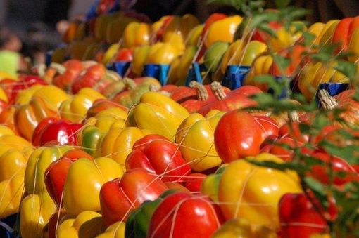 Bollicine e Peperoni: il 13 e 14 settembre a Carmagnola la due giorni dedicata allo shopping eno-gastronomico Bollicine e Peperoni: il 13 e 14 settembre a Carmagnola la due giorni dedicata allo shopping eno-gastronomico