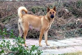 immagine di repertorio immagine di repertorio