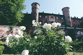 Rose al Castello e la rosa Principessa Maria Letizia al Castello di Moncalieri