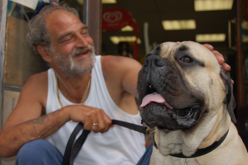 Diritti a 4 zampe, Nichelino attiva il servizio di passeggiata dei cani di persone in isolamento per il Covid