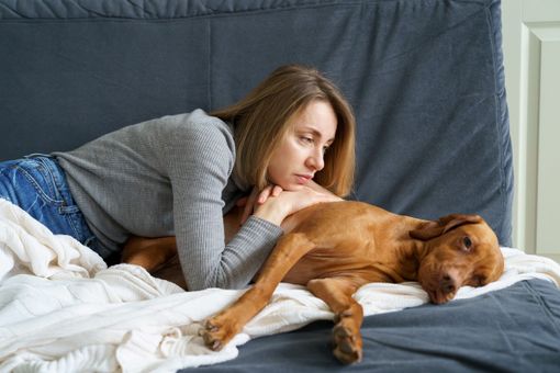 Cibo per Cani: Cosa Dare da Mangiare ad un Cane che sta Male