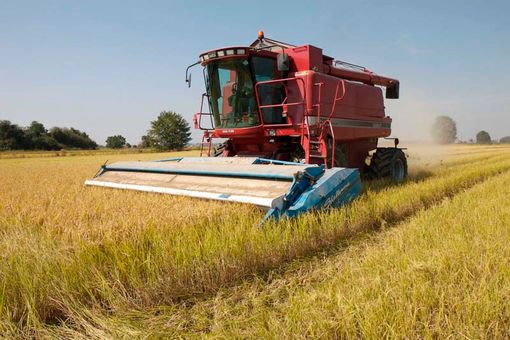 Prorogate le scadenze per il Programma sviluppo rurale: via libera a fondi Csi e slittamento dei termini per ritardi causa Covid Prorogate le scadenze per il Programma sviluppo rurale: via libera a fondi Csi e slittamento dei termini per ritardi causa Covid