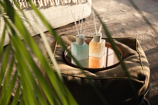 Profumazione per Ambienti: Scegli il Miglior Profumatore per la Tua Casa Profumazione per Ambienti: Scegli il Miglior Profumatore per la Tua Casa