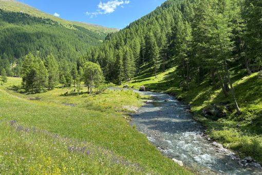 Settimana green e &quot;Green wall&quot;: il Des Ambrois &quot;fa la scelta giusta&quot; con docenti e studenti, dialogando con il territorio valsusino