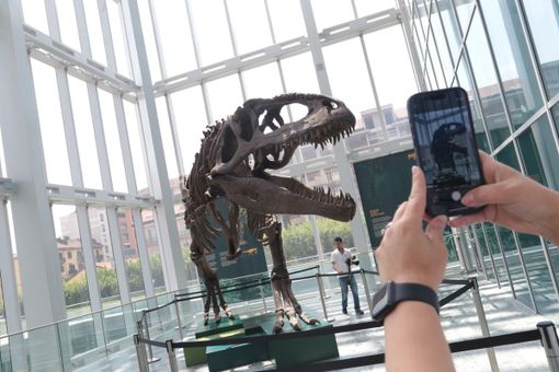 Il Giganotosauro prende casa in Piemonte