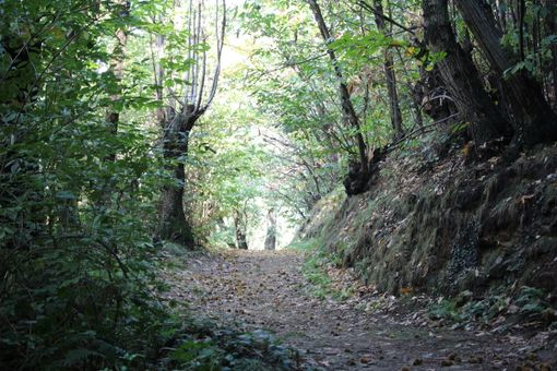 Un pezzo del sentiero dedicato a Guido Beltramo
