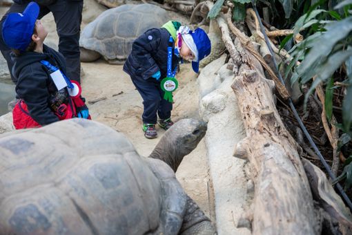 Il piccolo Alberto in visita a Zoom Il piccolo Alberto in visita a Zoom