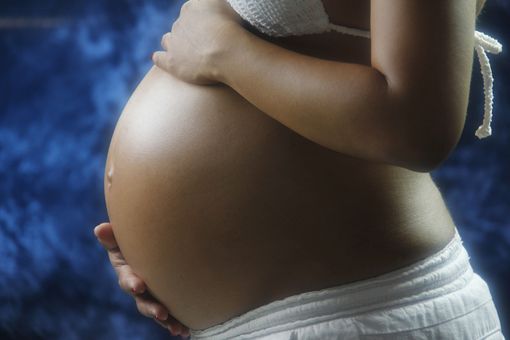 Pinerolo: domani serata di confronto sull’utero in affitto