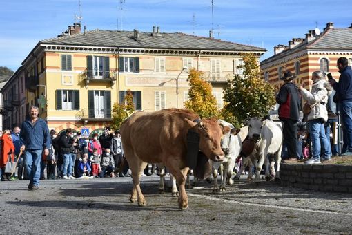 Luserna San Giovanni attende la carica dei 4 mila e adegua il percorso