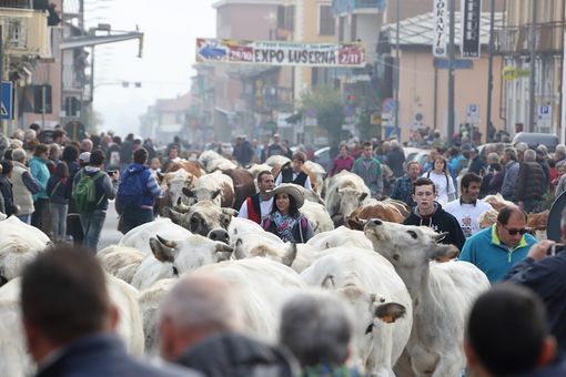 (Foto di repertorio)