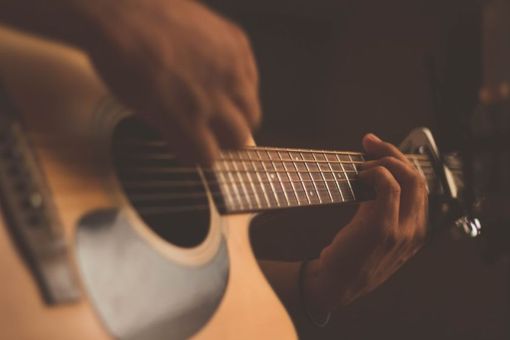Musicista Musicista