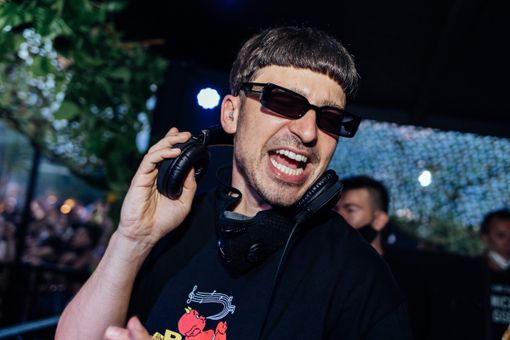 Bellissimo pastore tedesco e gattine affettuose cercano casa