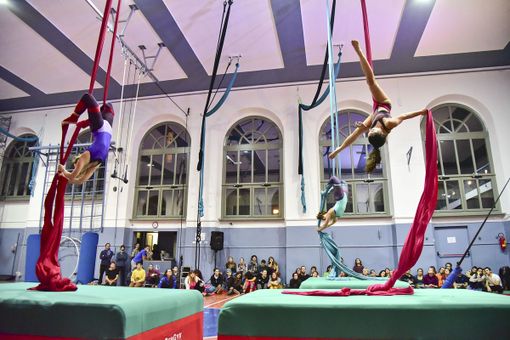 Ginnastica e scuola di circo, quarta festa dell'acrobatica con "Una domenica a testa in giù" Ginnastica e scuola di circo, quarta festa dell'acrobatica con "Una domenica a testa in giù"