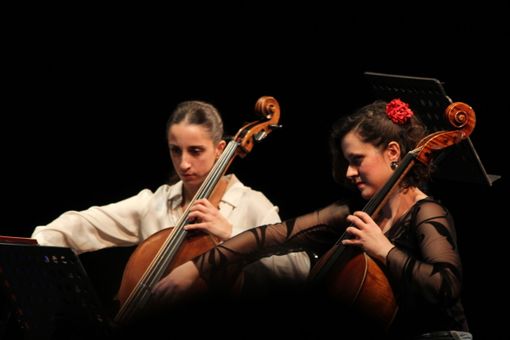 Orchestra Filarmonica in concerto con &quot;Il ballo del colonnello elefante&quot;