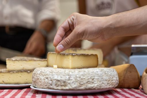 Presentato in Regione Cheese 2025: il mondo del latte crudo tra gusto, territori e futuro
Presentato in Regione Cheese 2025: il mondo del latte crudo tra gusto, territori e futuro