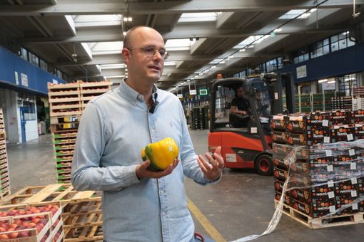 Sua maestà il Peperone alla corte del Caat. Cavaglià: “Una finestra concreta su mercati regionali e internazionali” [VIDEO]
