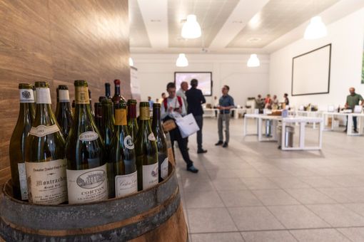 L’AIS Piemonte festeggia sessant’anni di vino, cultura e passione