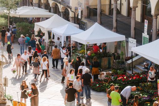 Ad aprile la primavera prende casa a Moncalieri con FLORÌ e Miel’é Ad aprile la primavera prende casa a Moncalieri con FLORÌ e Miel’é