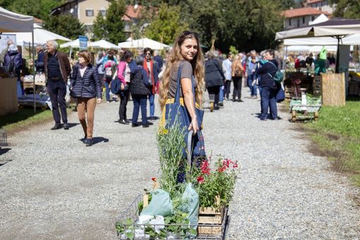 Al Castello di Masino, torna la "Tre Giorni per il Giardino"