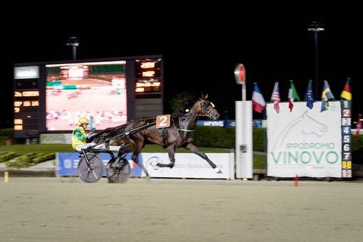 Vinovo, al Gran Premio Marangoni brillano le stelle di Frank Gio e Funny Gio Vinovo, al Gran Premio Marangoni brillano le stelle di Frank Gio e Funny Gio