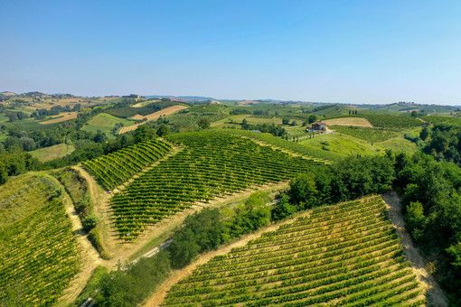 L'azienda astigiana Ferraris Agricola presenta Opera Prima Riserva 2017 L'azienda astigiana Ferraris Agricola presenta Opera Prima Riserva 2017