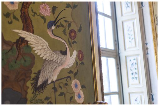 birdwatching palazzina stupinigi