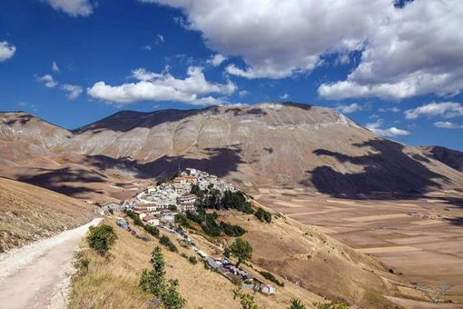RiseUp, tanti artisti sul palco delle Ogr per sostenere le terre colpite dal sisma RiseUp, tanti artisti sul palco delle Ogr per sostenere le terre colpite dal sisma