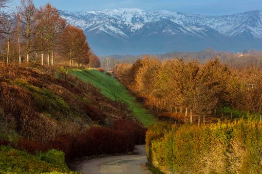Ultimo appuntamento con "Changing Landscape", la serie di incontri organizzata dalla Venaria Reale